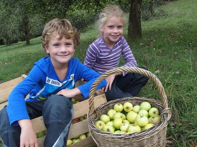 Bild 18 aus  Hirzighof