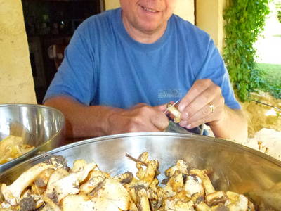 FRANK bei Pilze säubern...