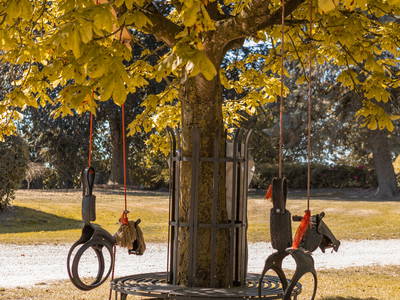 Bild 47 aus  Gestüt Hof am See