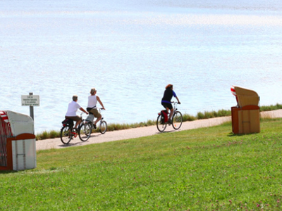 Bild 36 aus  Ferienhof Peter -  Ponys - streicheln, striegeln, füttern  -  Wattwanderungen + ganz viel Nordsee
