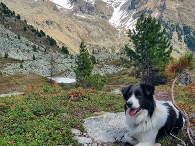 Bild 12 aus  Oberbacherhof