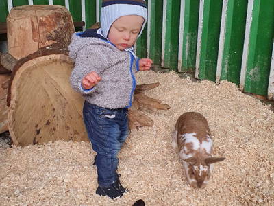 Bild 31 aus  Ferienhof Heuel