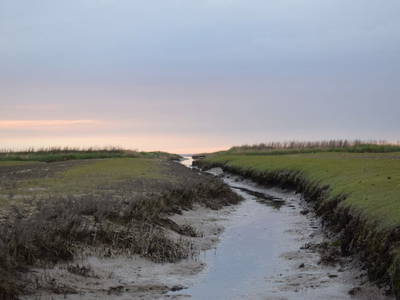 Bild 24 aus  Ferienhof Gertz