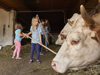 Bild 18 aus  Urlaub am Schoffahanslof im Bayerischen Wald: Natur, Abenteuer & Erholung für die ganze Familie“