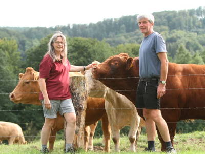 Bild 8 aus  Gripshof