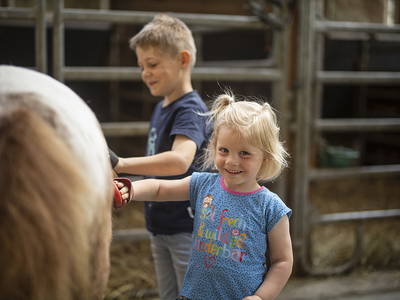 Bild 25 aus  Gut Frielinghausen