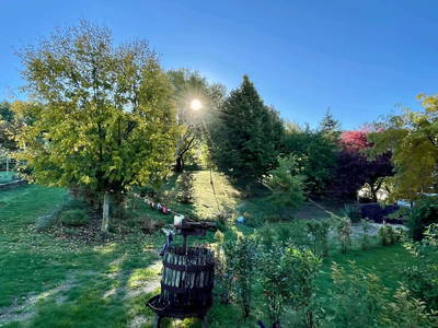 Bild 6 aus  Casa Bivignano