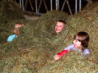 Bild 14 aus  Reicharthof