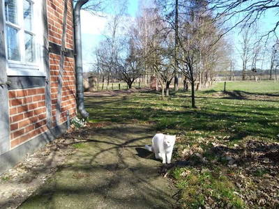 Bild 21 aus  Bauernhof Laave