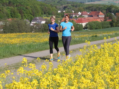 Bild 12 aus  Ökonomiehof