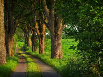 Bild 20 aus  Ferienhaus Pieverstorf 1