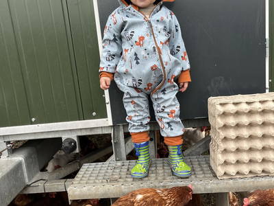 Bild 21 aus  Landkulturhof Glücksbringer