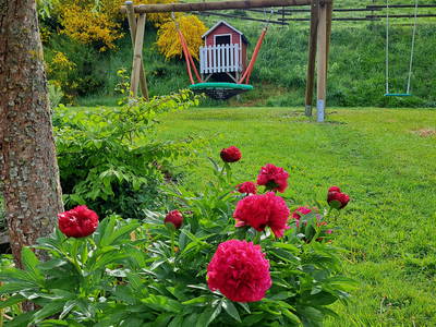 Bild 52 aus  Gut Frielinghausen