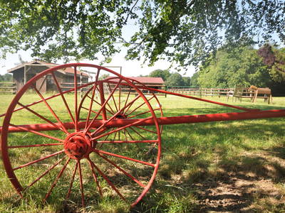 Bild 11 aus  Eichenhof