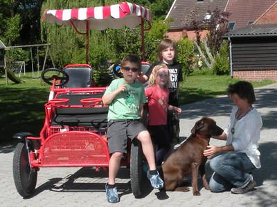 Bild 39 aus  Hof Sassen