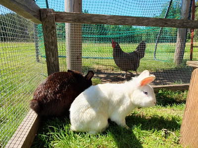 Bild 18 aus  Beim Lenglacher