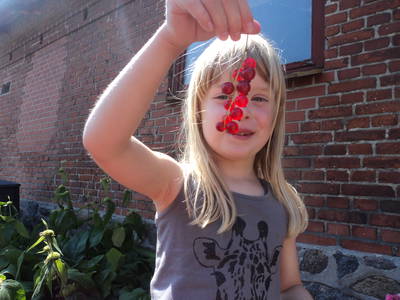 Bild 4 aus  Fredensminde Ferie