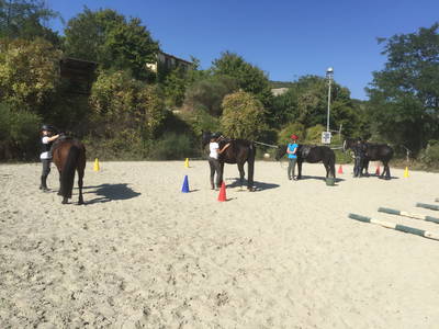 Bild 21 aus  Colle del Lupo