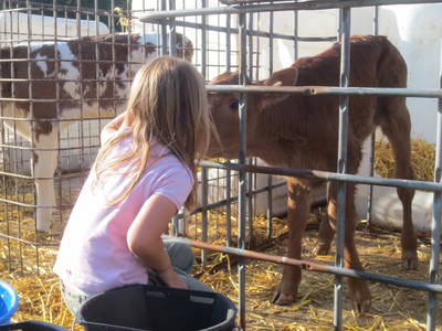 Bild 15 aus  Enkenshof