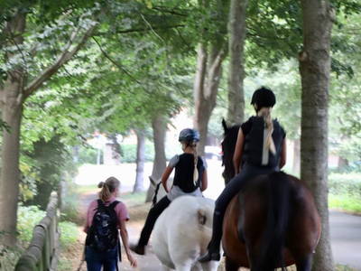 Kleiner Ausritt hoch zu Ross