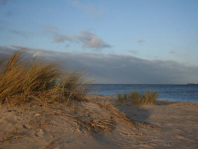 Bild 23 aus  LandSelection Ol' Backhus