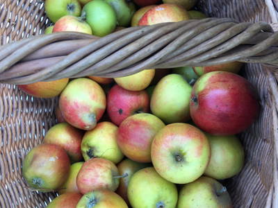 Zur Erntezeit gibt es im Garten viel zu Naschen.