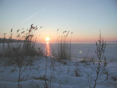 Bild 15 aus  Vju Hotel Rügen