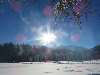 Bild 34 aus  Landhaus Alt mit  Bauernhof* Gesundes Wohnen In Freier Natur* Tolle-Angebote *Bergbahn Unlimited*