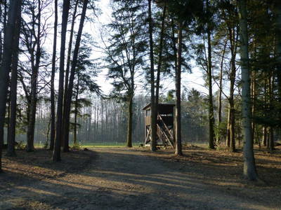 Bild 55 aus  LandSelection Drewes-Hof