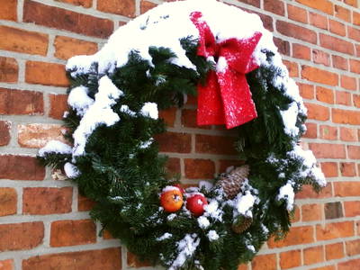 Bild 40 aus  Forsthof Niendorf