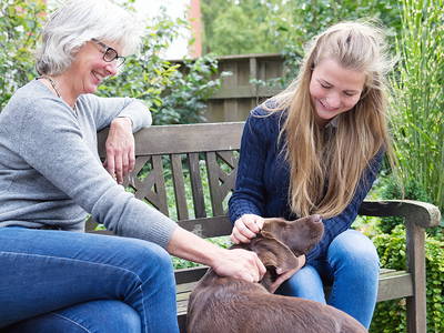 Bild 5 aus  Hof Osterholz