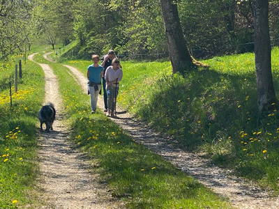 Bild 23 aus  Ferienhof Markhart