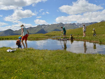 Bild 12 aus  Feldererhof