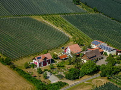 Bild 11 aus  Bio-Obstgut Oberhof