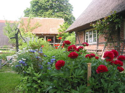 Bild 7 aus  Urlaub unterm Reet