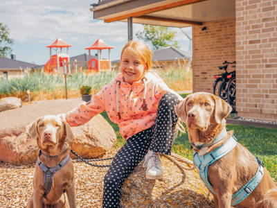 Bild 7 aus  Ferienbauernhof Lafrenz