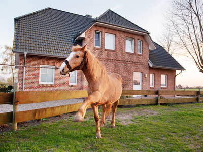 Bild 14 aus  Bauernhof Höper-Rauert