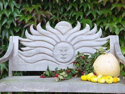 Bild 14 aus  Hof Osterholz