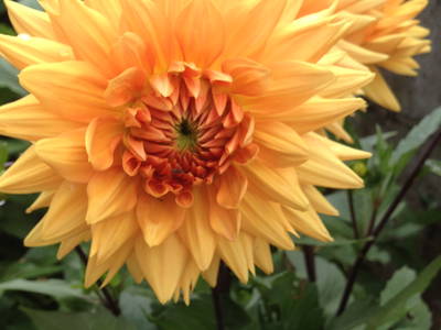 Bild 10 aus  Ferienhof Rösch