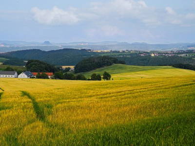 Bild 9 aus  Alte Scheune Rietzschelhof