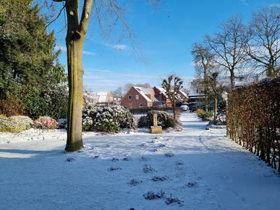 Bild 6 aus  Hof  Wesselmann