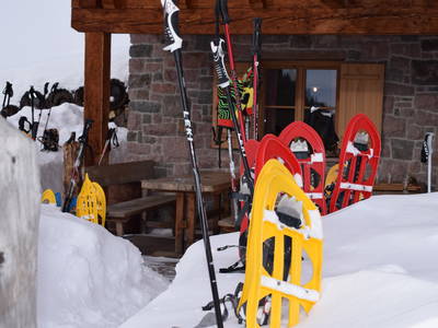 Bild 13 aus  Marschalkhof    Urlaub auf dem Bauernhof