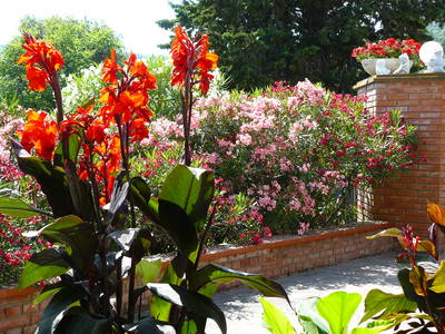 Bild 9 aus  Toscana Ferienhaus Podere di Gualda