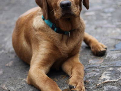 Bild 24 aus  Hof Flottwedel