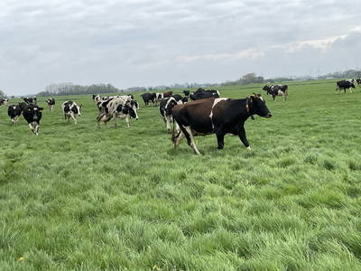 Bild 15 aus  Ferienwohnungen Meyerhoff