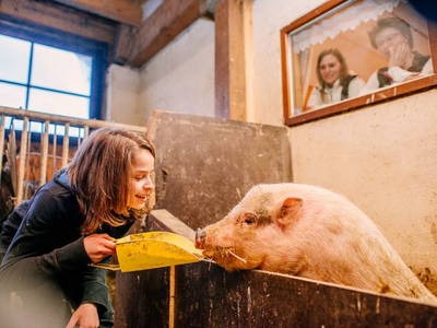 Bild 18 aus  Haberjockelshof