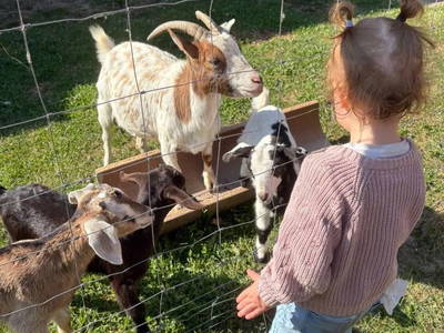 Bild 11 aus  Hof  Wesselmann