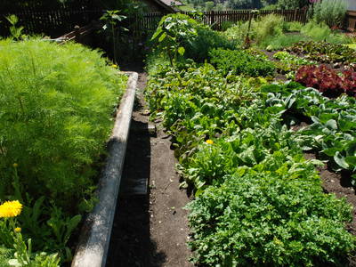 Bild 22 aus  Residence Obermoarhof