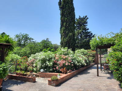 Bild 14 aus  Toscana Ferienhaus Podere di Gualda