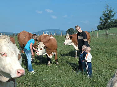 Bild 20 aus  Ferienhof Bauer